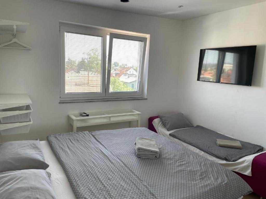 R41 - Tivoli Groundfloor Apartment Ljubljana Ngoại thất bức ảnh