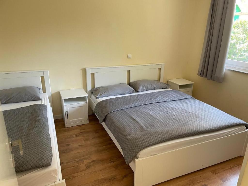 R41 - Tivoli Groundfloor Apartment Ljubljana Ngoại thất bức ảnh